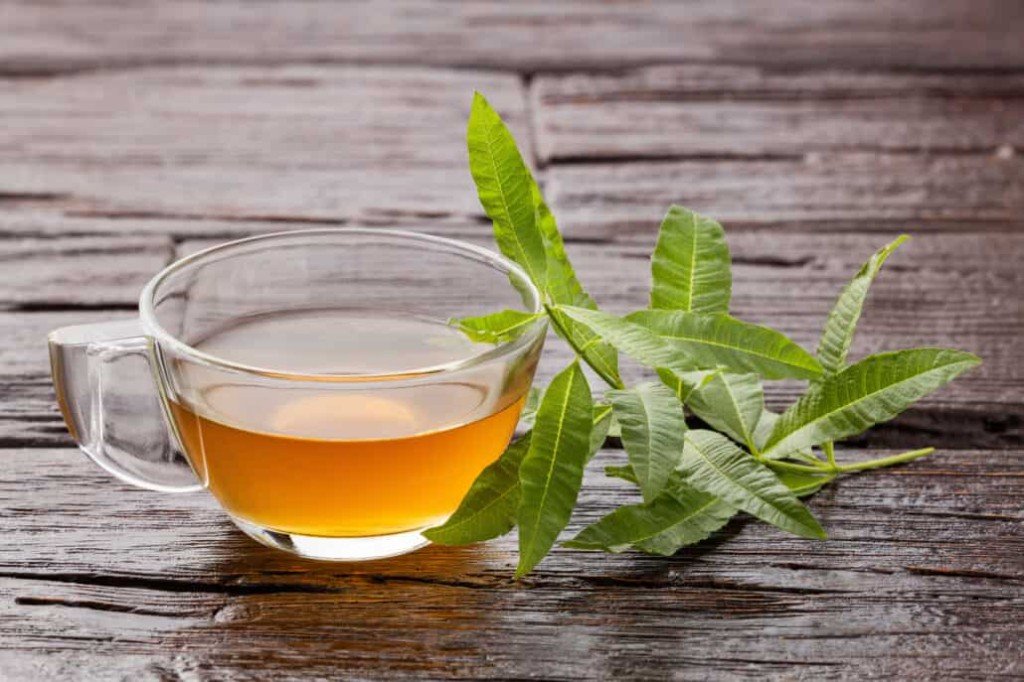 Verbena Infusion